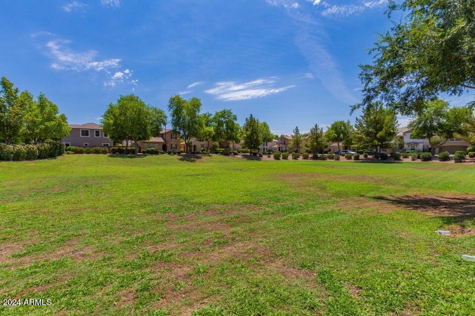 4212 East Vest Avenue Gilbert, AZ 85295 - Photo 36 of 38 20231027083733050047000000-o