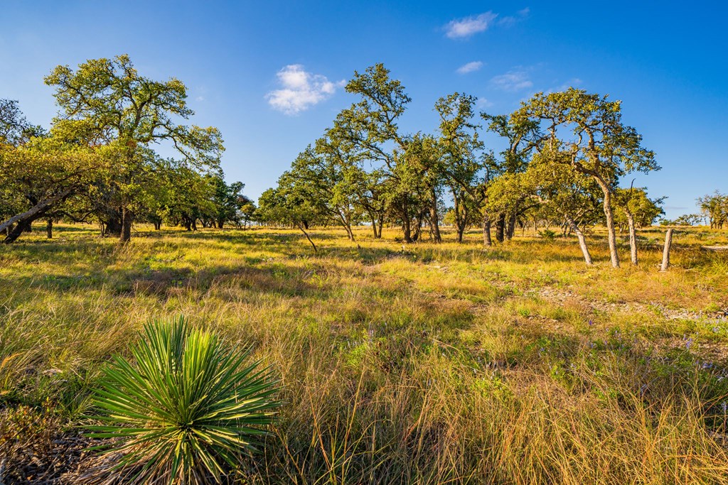Lot 42 Reservation Road, Unit 42 Harper, TX 78631 - Photo 5 of 6 Gallery Image 5