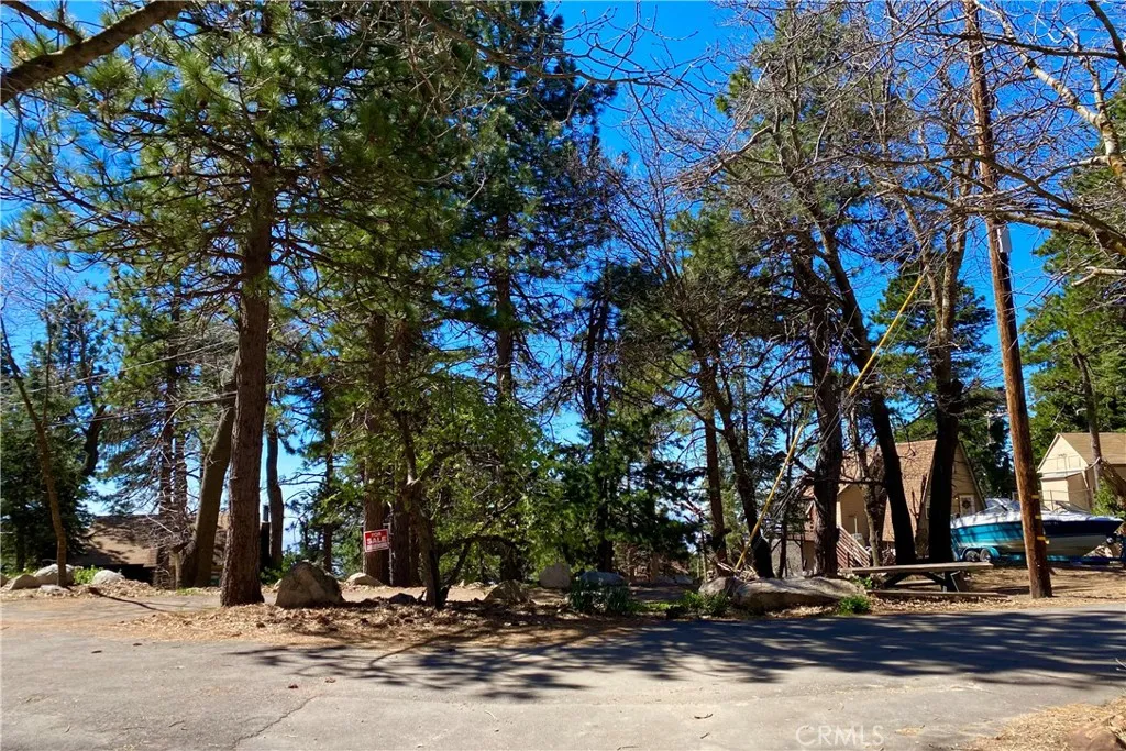 0 Lakeview Drive Rimforest, CA 92378 - Photo 4 of 12 a view of a park with tree s