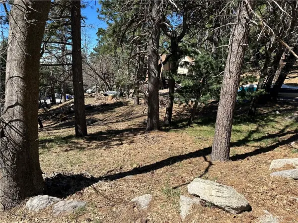 $29,999 | 0 Lakeview Drive, Rimforest, CA 92378