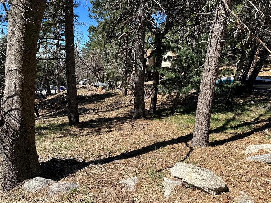 0 Lakeview Drive Rimforest, CA 92378 - Photo 6 of 12 a view of a yard with plants and trees