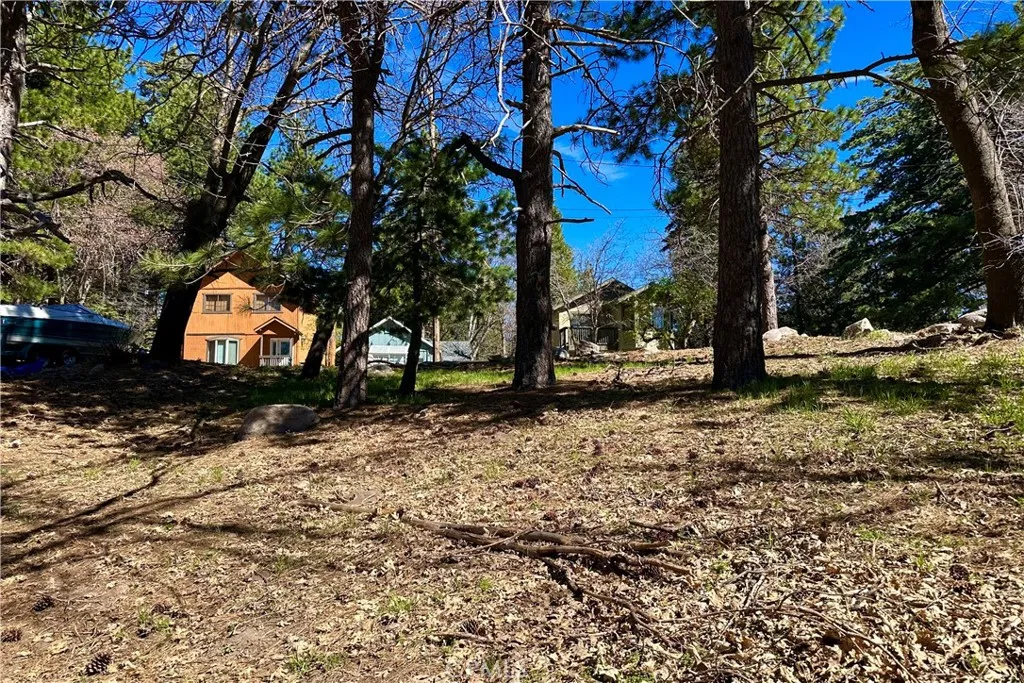 0 Lakeview Drive Rimforest, CA 92378 - Photo 8 of 12