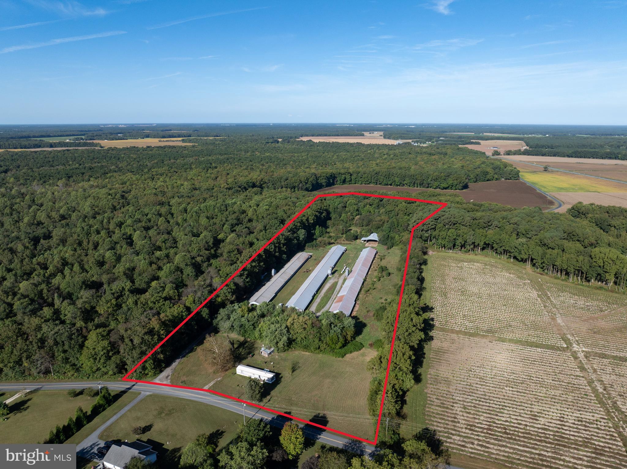 6026 Cokesbury Road Rhodesdale, MD 21659 - Photo 1 of 15 an aerial view of a city