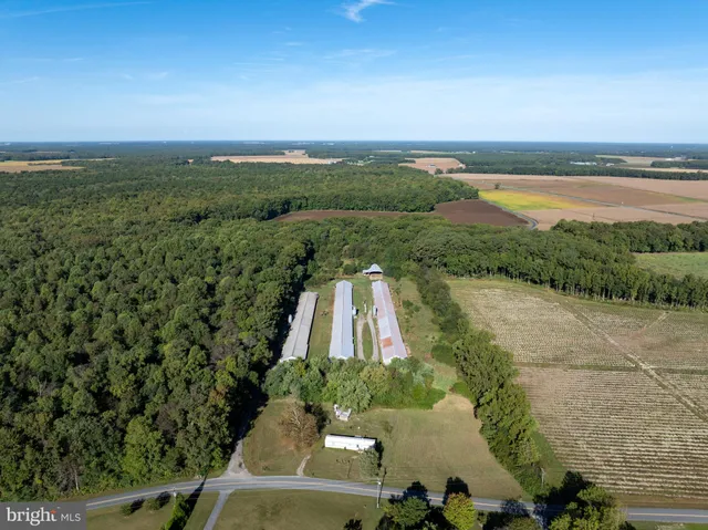 an aerial view of a residential houses with outdoor space