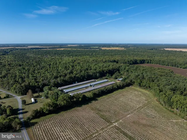 a view of a terrace with yard and mountain view in back