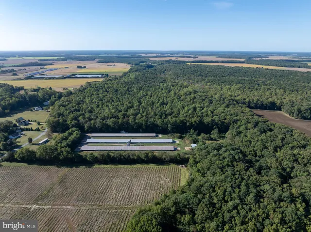 a view of a city with ocean view