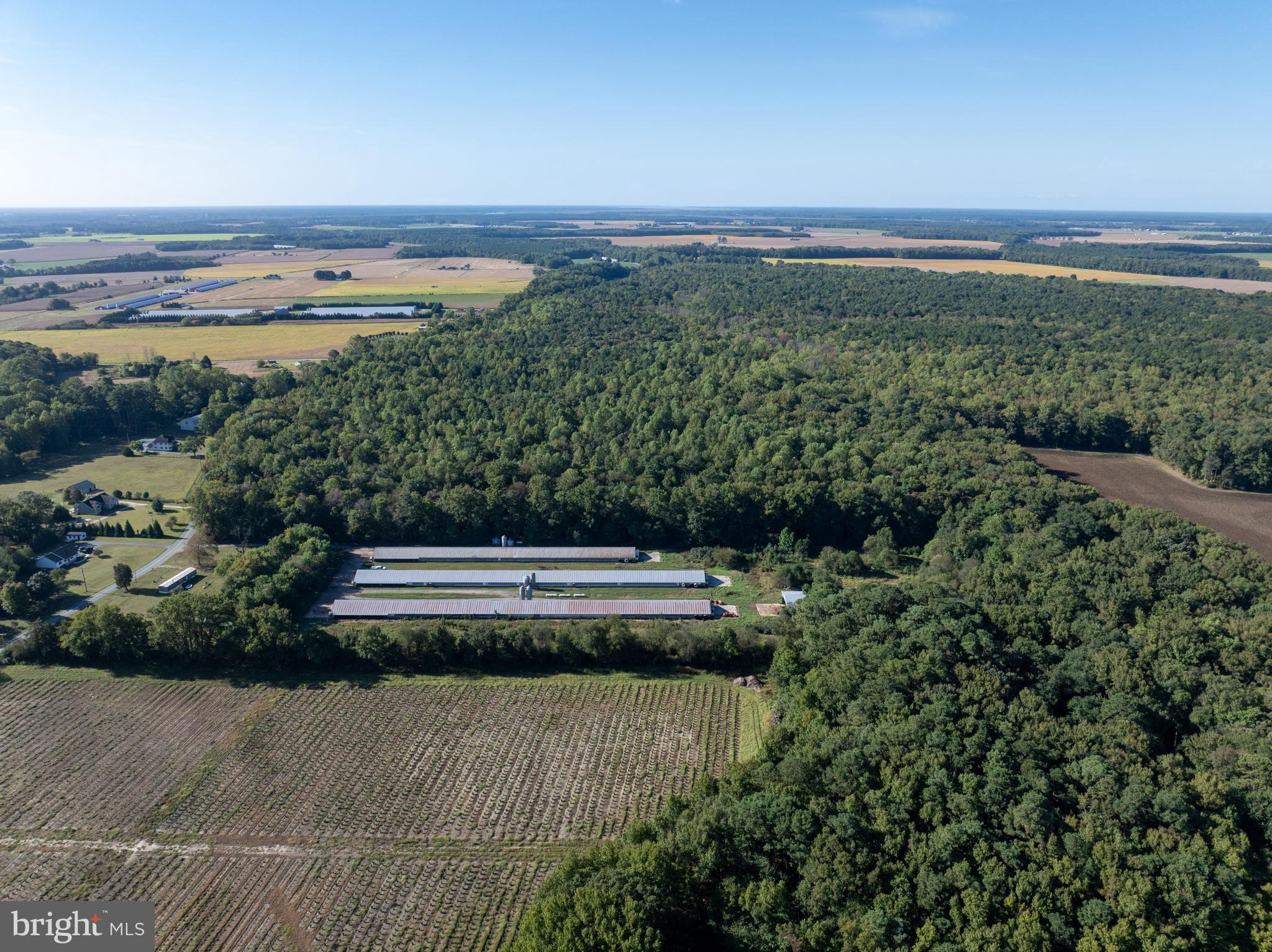 6026 Cokesbury Road Rhodesdale, MD 21659 - Photo 14 of 15 a view of a city with ocean view
