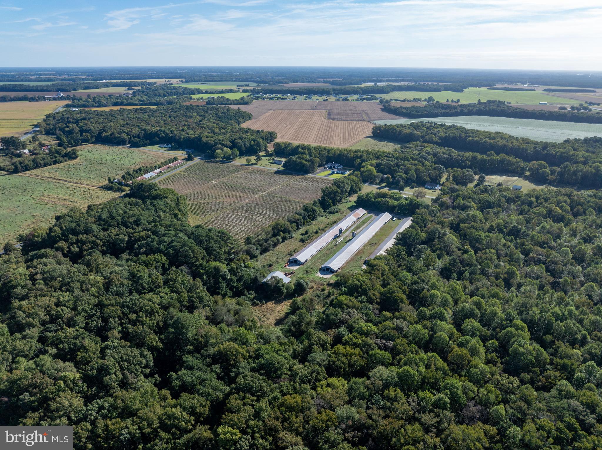 6026 Cokesbury Road Rhodesdale, MD 21659 - Photo 5 of 15 an aerial view of ocean and residential houses with outdoor space