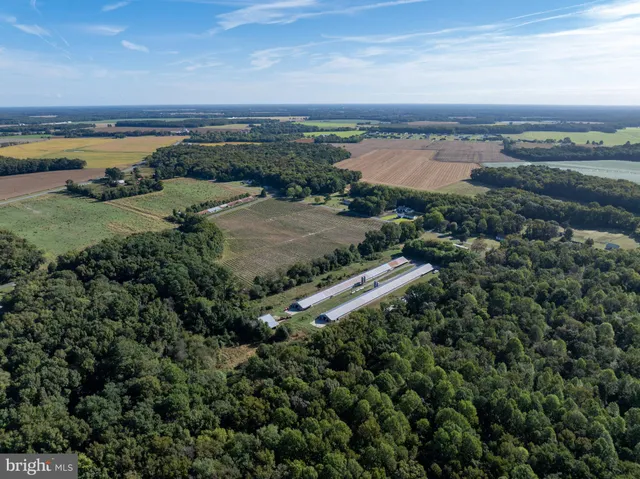 a view of a city and ocean view