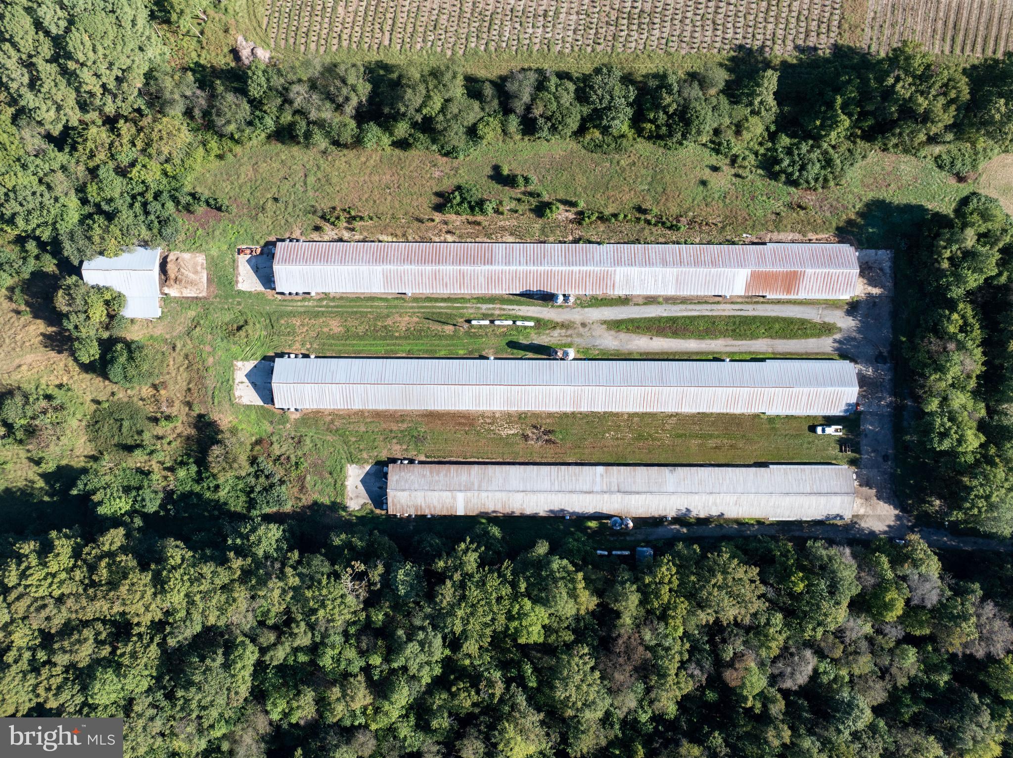 6026 Cokesbury Road Rhodesdale, MD 21659 - Photo 8 of 15 a view of a yard with an outdoor seating