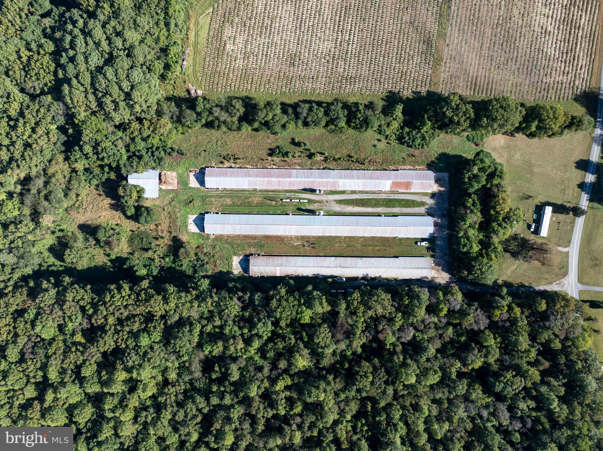 6026 Cokesbury Road Rhodesdale, MD 21659 - Photo 9 of 15 a view of statue in a garden