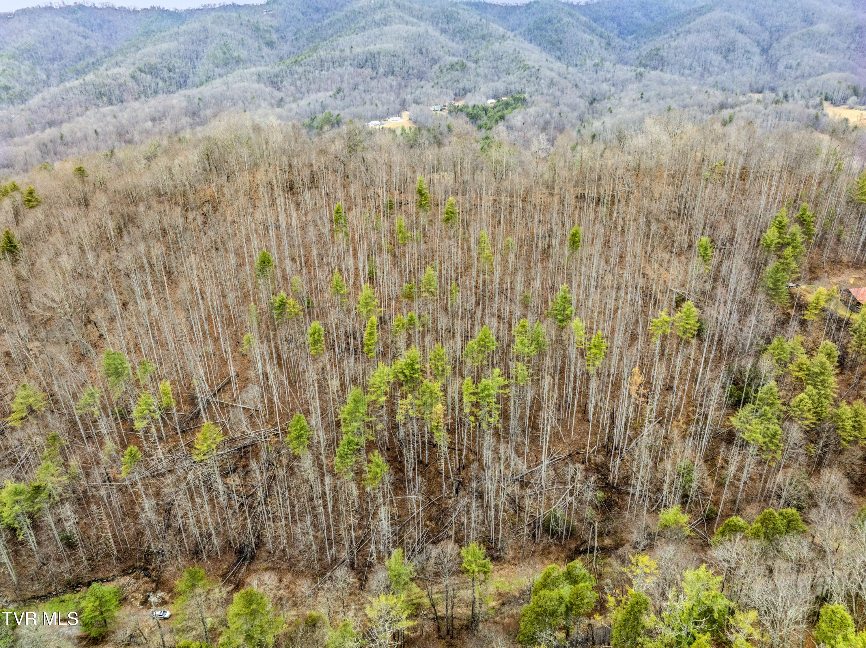 Tbd Stage Road Mountain City, TN 37683 - Photo 23 of 27 TBDStageRd-Aerials-17