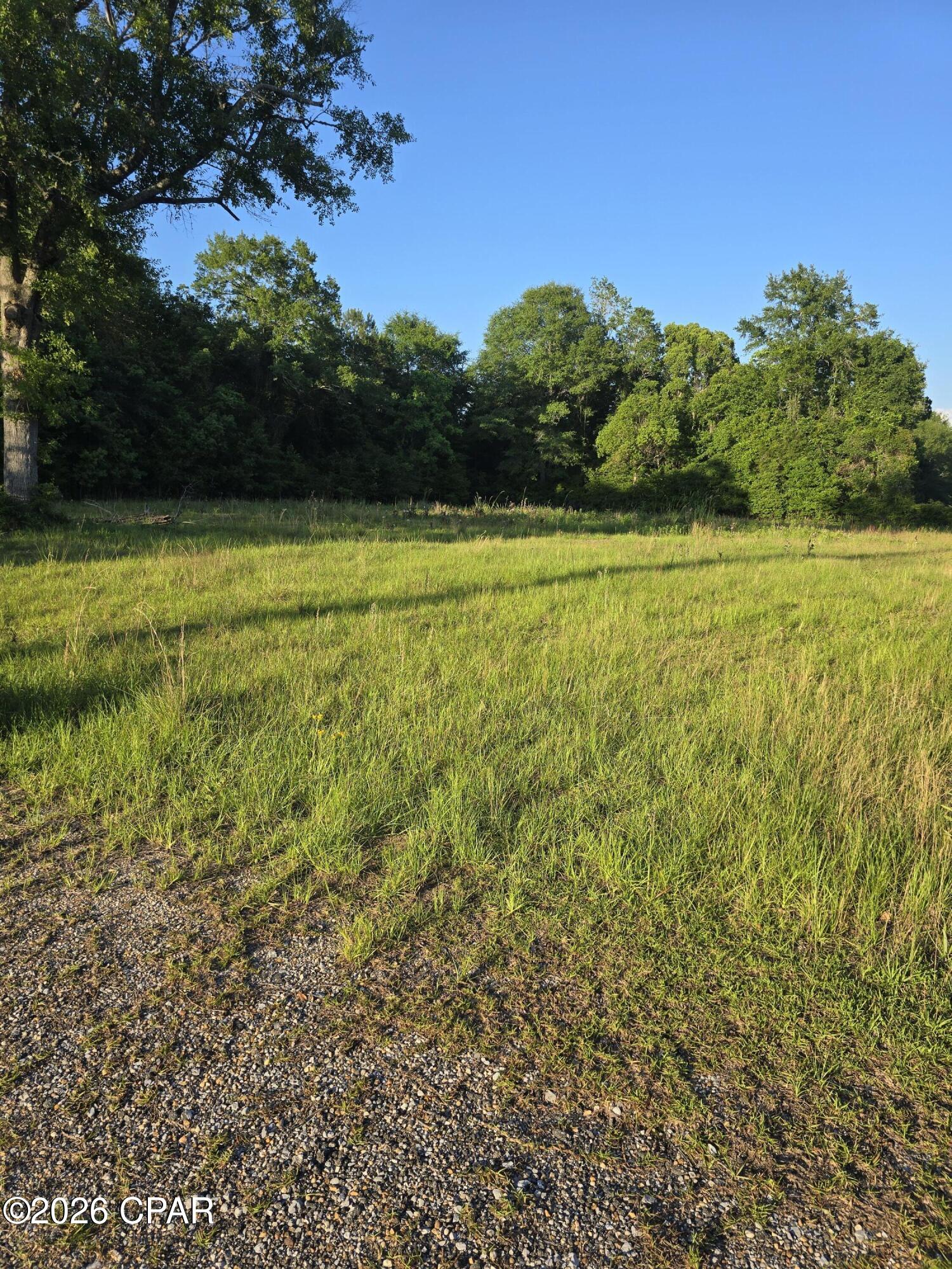 104 North Treadwell Road Bonifay, FL 32425 - Photo 8 of 9