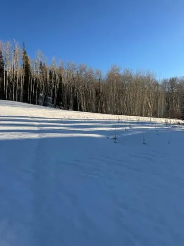 $1,550,000 | Tbd Arizona Drive, Mountain Village, CO 81435