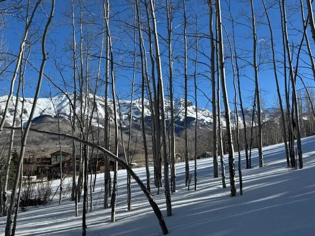 $1,550,000 | Tbd Arizona Drive, Mountain Village, CO 81435