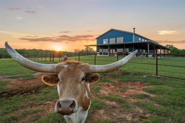 $1,800,000 | 3200 State Highway 75 North, Buffalo, TX 75831