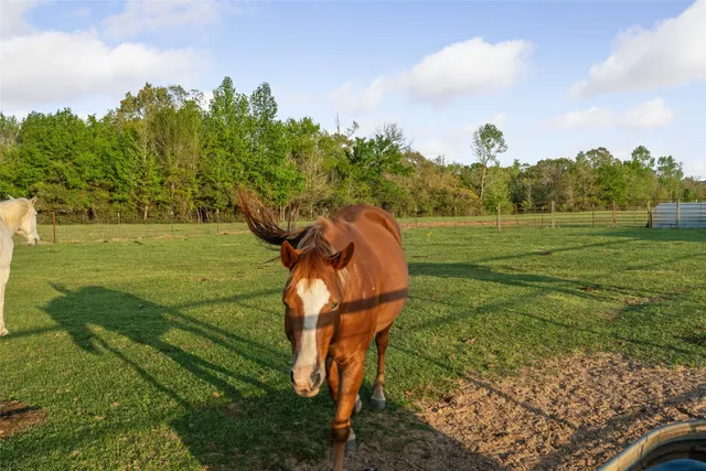 $1,800,000 | 3200 State Highway 75 North, Buffalo, TX 75831