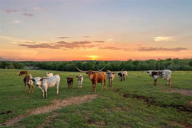 $1,800,000 | 3200 State Highway 75 North, Buffalo, TX 75831