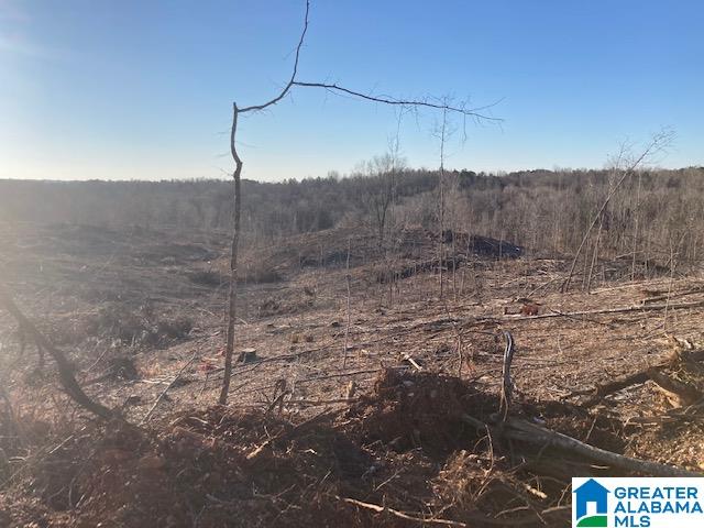 1925 Coaling Road, Unit 240 AC Sylacauga, AL 35151 - Photo 4 of 8