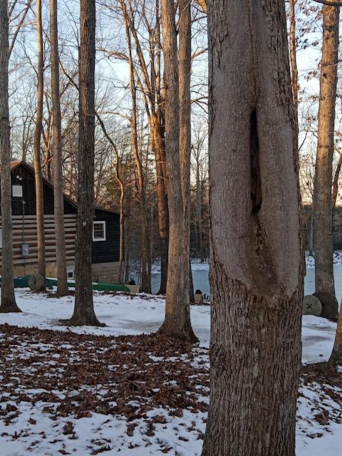 455 Taro Road Cullen, VA 23934 - Photo 36 of 36 Gallery Image 36