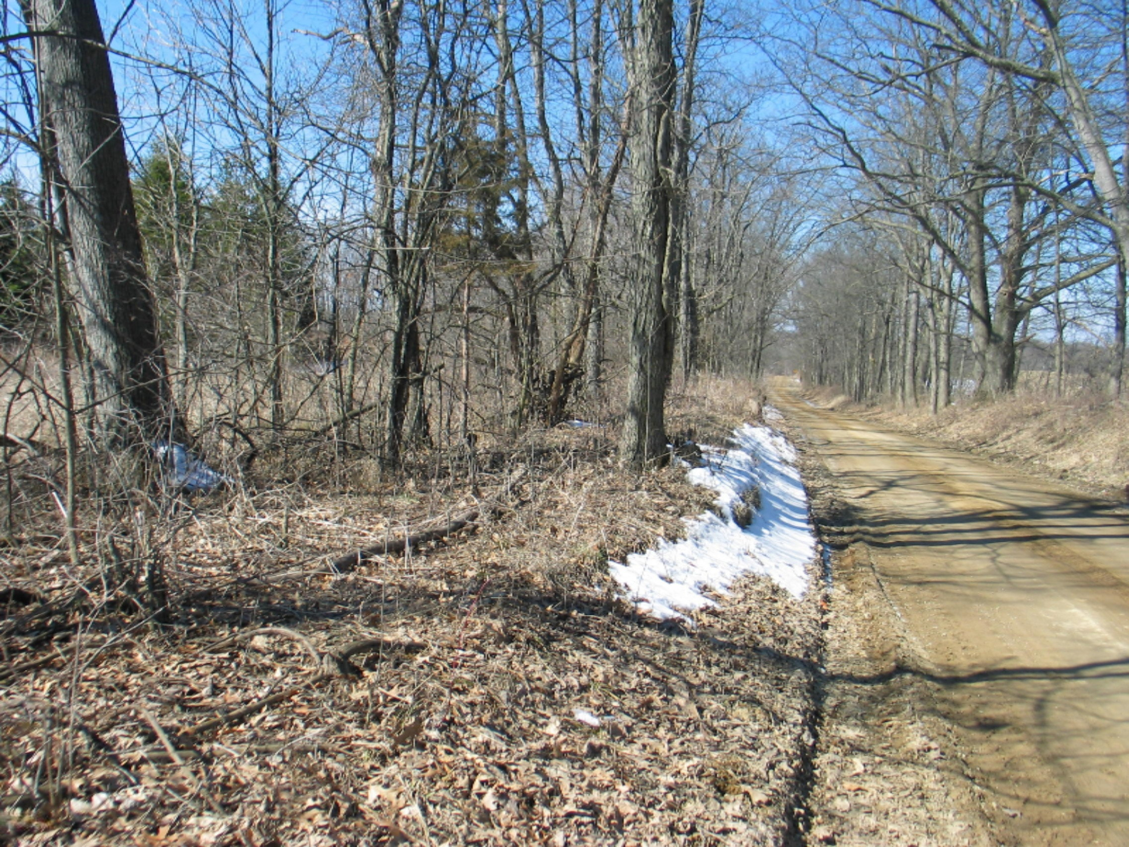 11233 Mercer Road Jerome, MI 49249 - Photo 2 of 8 IMG_5208