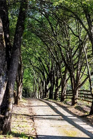 $675,000 | 143 Swanson Road, Fayetteville, GA 30214