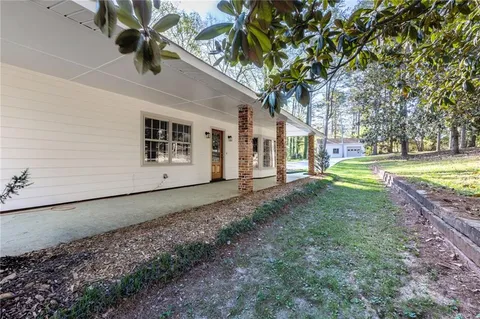 a view of a yard with plants and a tree