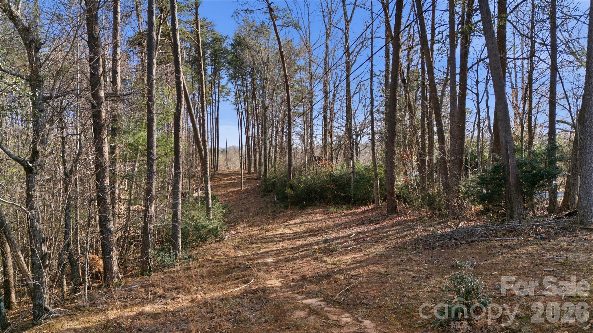 0 Hooker Road Columbus, NC 28722 - Photo 8 of 23