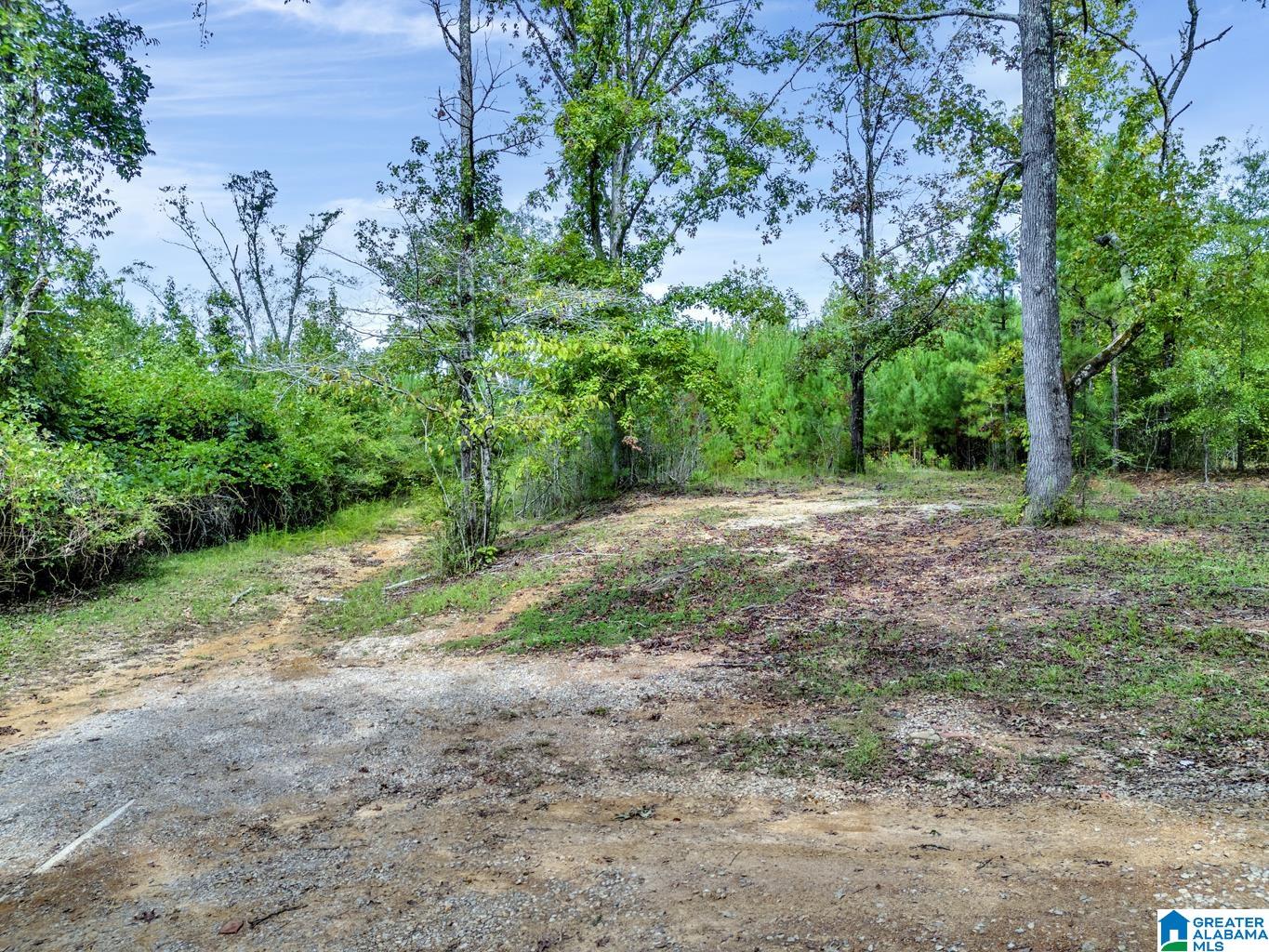 0 Warrior Road Ohatchee, AL 36271 - Photo 9 of 25
