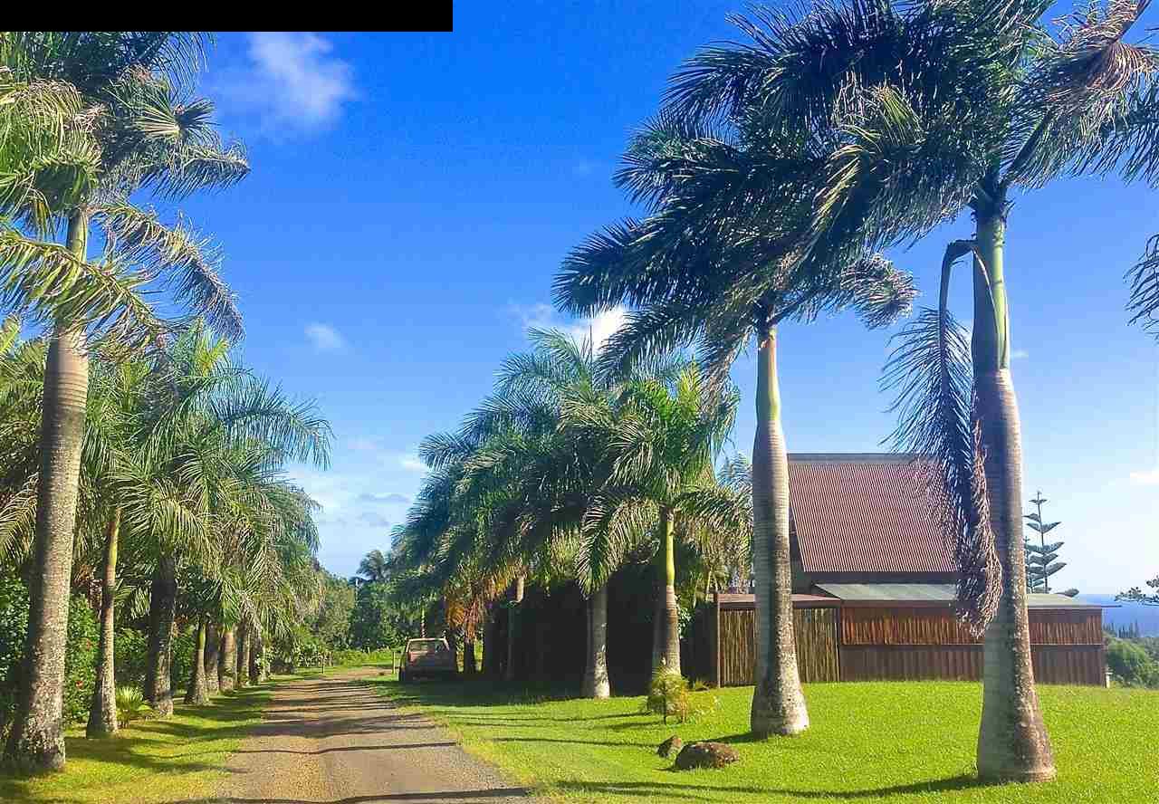 51 South Honokala Road Haiku, HI 96708 - Photo 5 of 28 a front view of a house with a yard