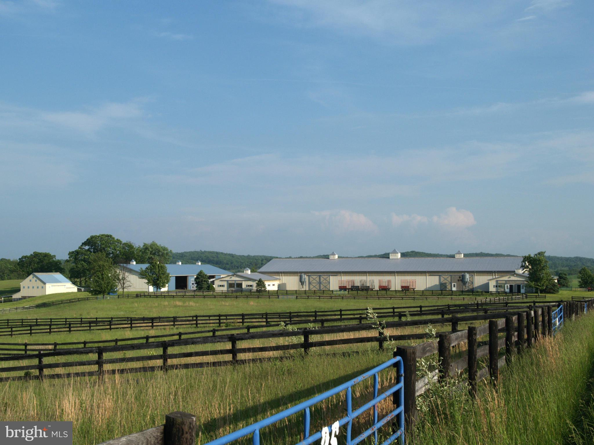 14980 Limestone School Road Leesburg, VA 20176 - Photo 11 of 30 Main Arena Barn - Rear