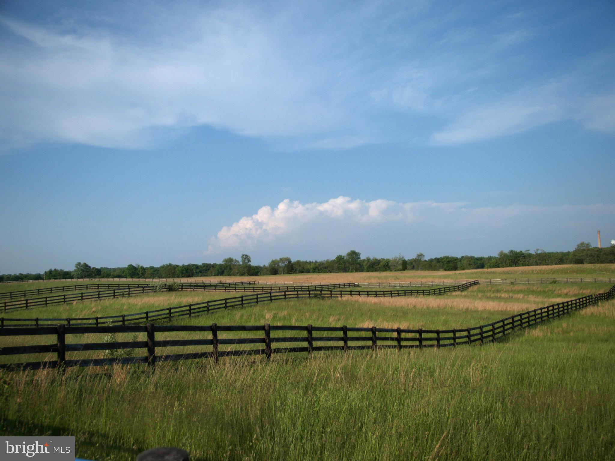 14980 Limestone School Road Leesburg, VA 20176 - Photo 28 of 30 Rolling Pastures - Four Board Fence