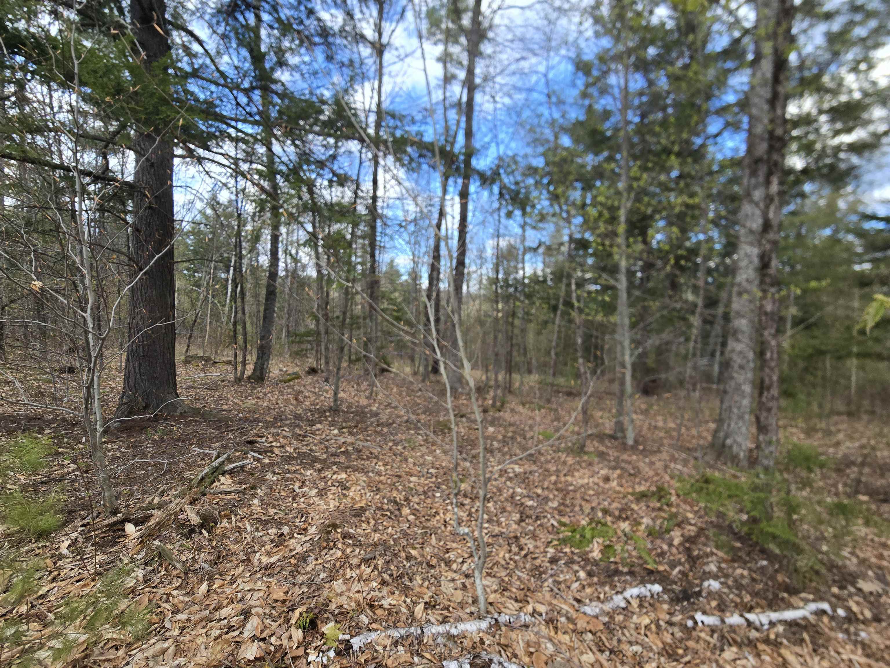 Tbd Farrar Road Chester, VT 05143 - Photo 2 of 24