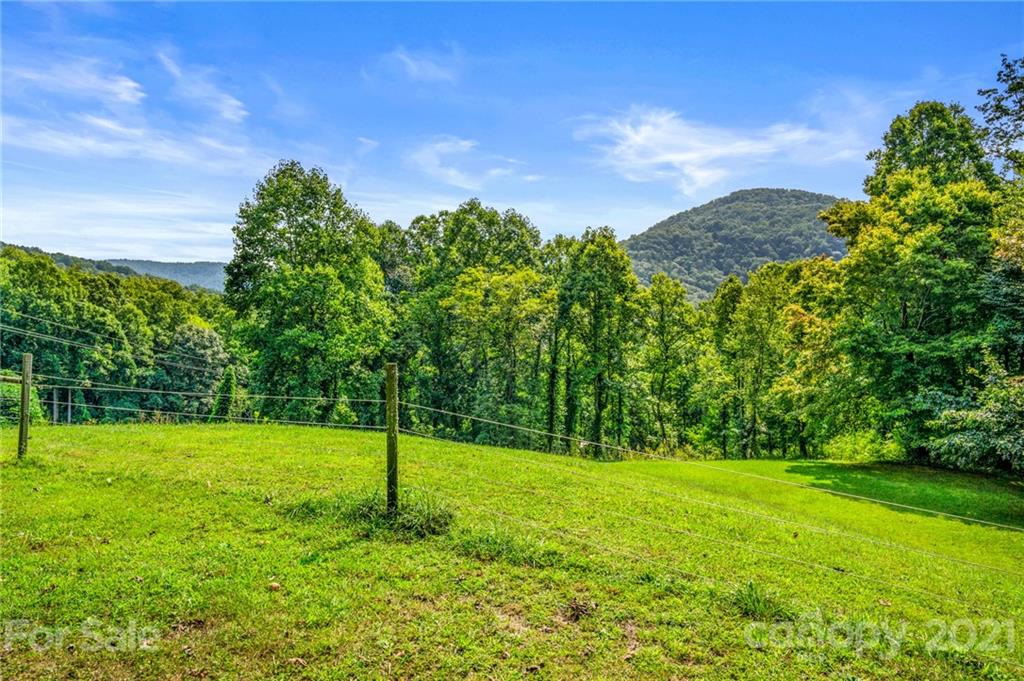 428 Slick Rock Road Hendersonville, NC 28792 - Photo 10 of 38 Gallery Image 10