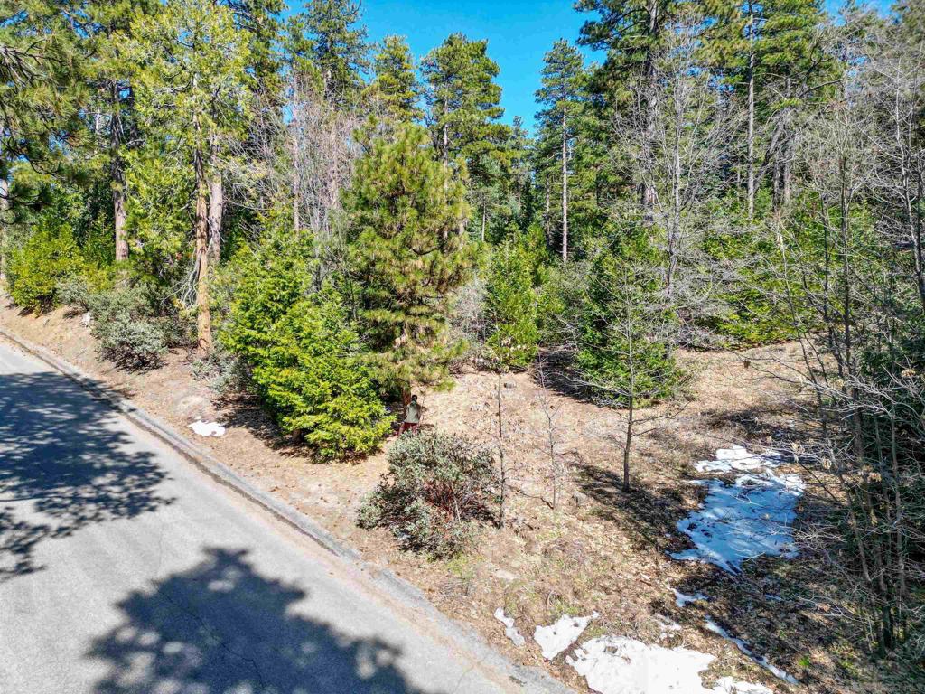 0 Laurel Trail Idyllwild, CA 92549 - Photo 1 of 12 a view of a garden with plants