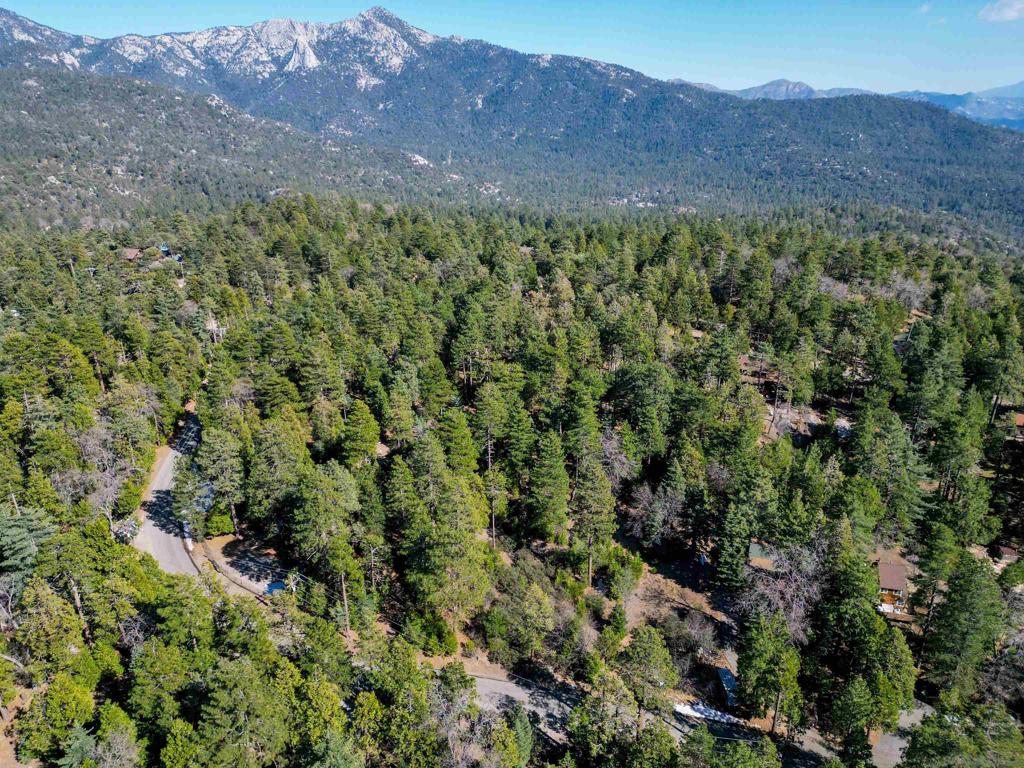 0 Laurel Trail Idyllwild, CA 92549 - Photo 11 of 12 a view of a large mountains with a lush green field