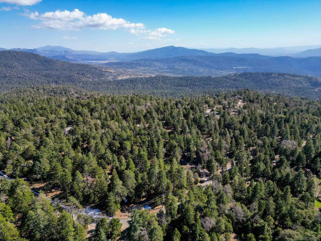 0 Laurel Trail Idyllwild, CA 92549 - Photo 12 of 12 a view of a lush green hillside and a mountain