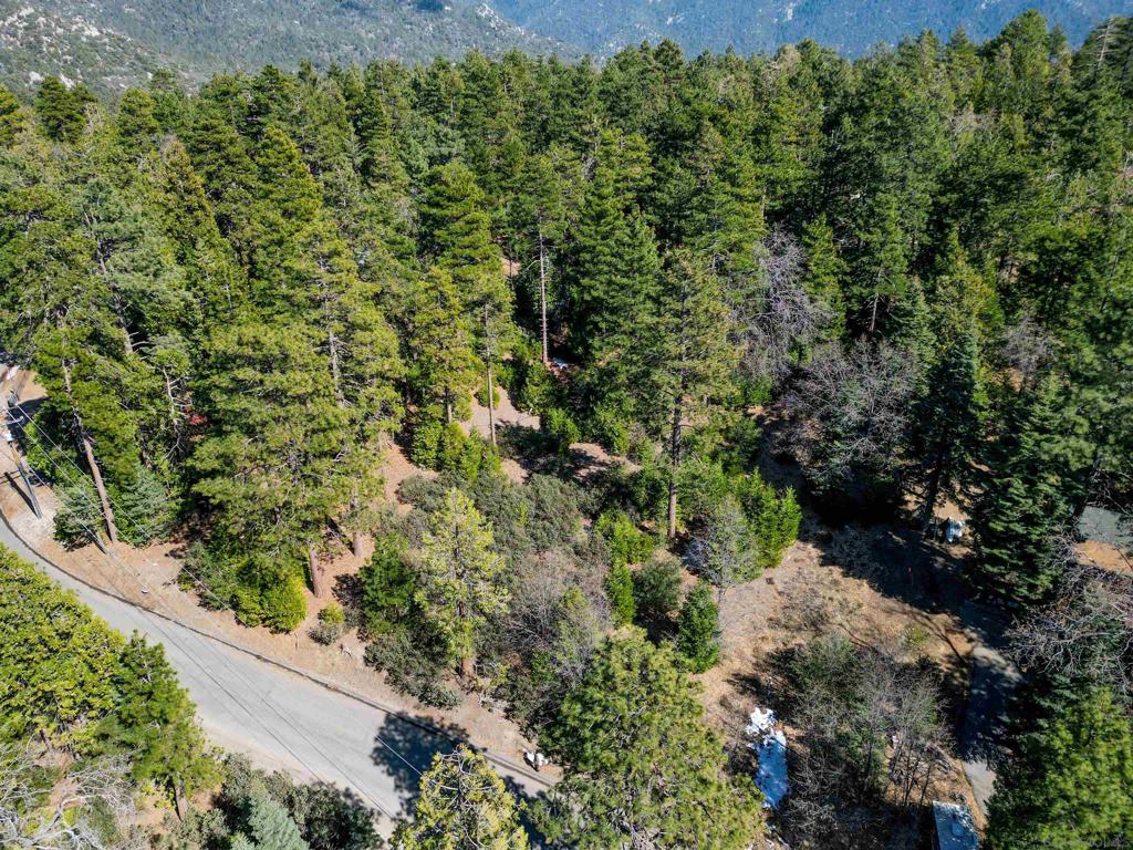 0 Laurel Trail Idyllwild, CA 92549 - Photo 2 of 12 a view of a garden with a house