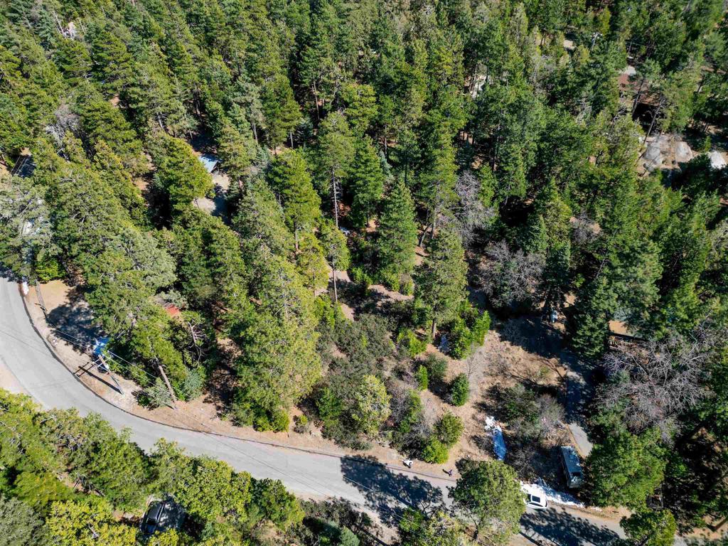 0 Laurel Trail Idyllwild, CA 92549 - Photo 3 of 12 an aerial view of a house with a yard