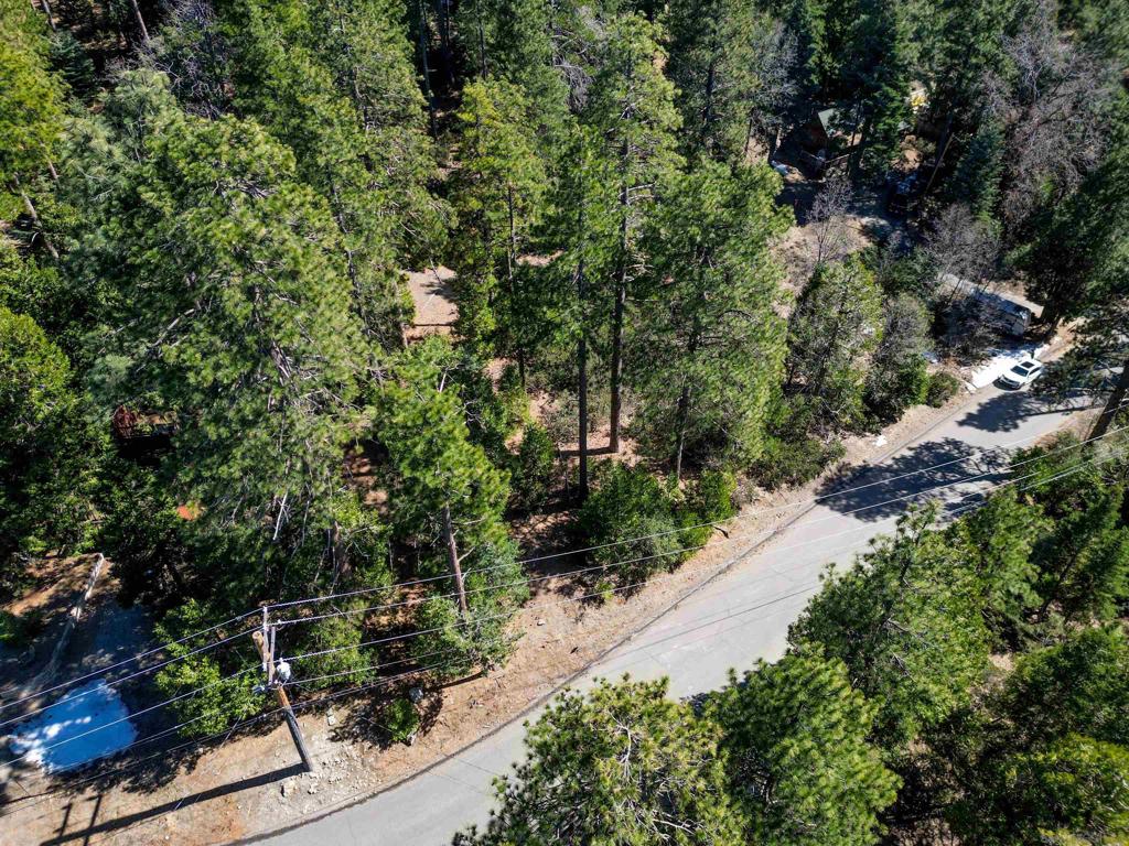 0 Laurel Trail Idyllwild, CA 92549 - Photo 5 of 12 a view of a garden with plants and large trees