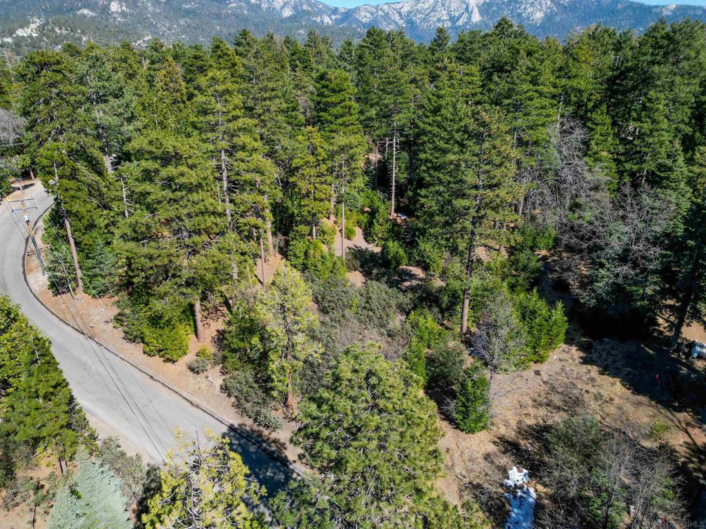 0 Laurel Trail Idyllwild, CA 92549 - Photo 6 of 12 a view of a garden with a fountain