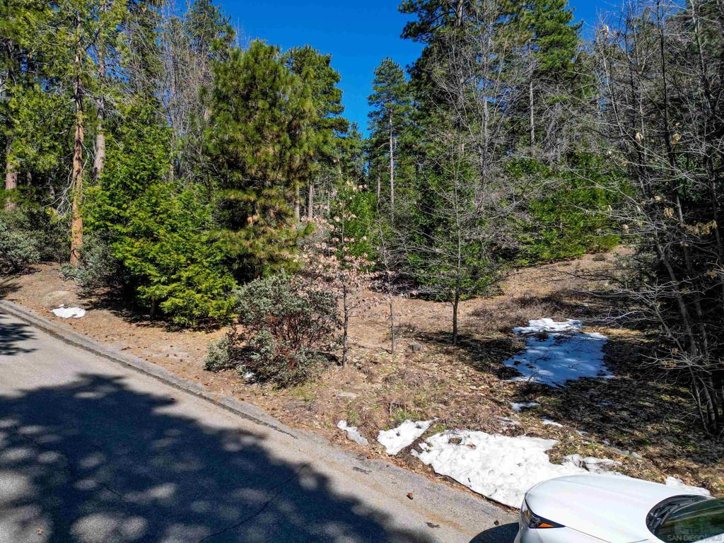 0 Laurel Trail Idyllwild, CA 92549 - Photo 7 of 12