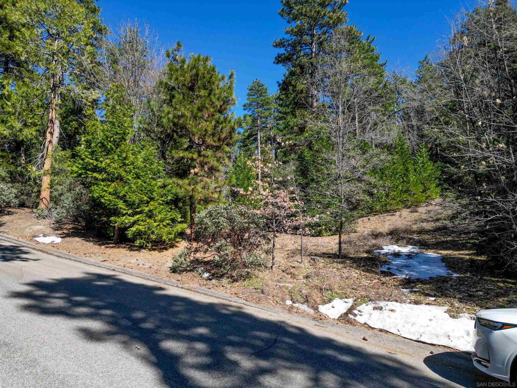 0 Laurel Trail Idyllwild, CA 92549 - Photo 9 of 12 a view of a wooden street with a tree