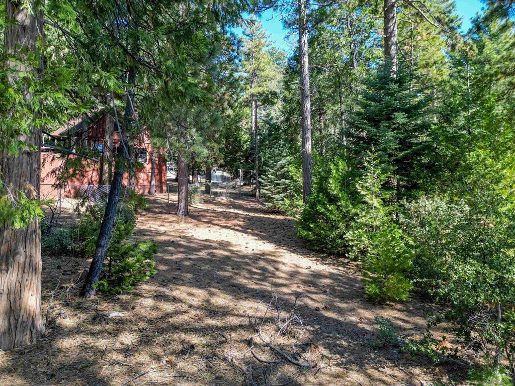 0 Laurel Trail Idyllwild, CA 92549 - Photo 10 of 12 a view of outdoor space and trees