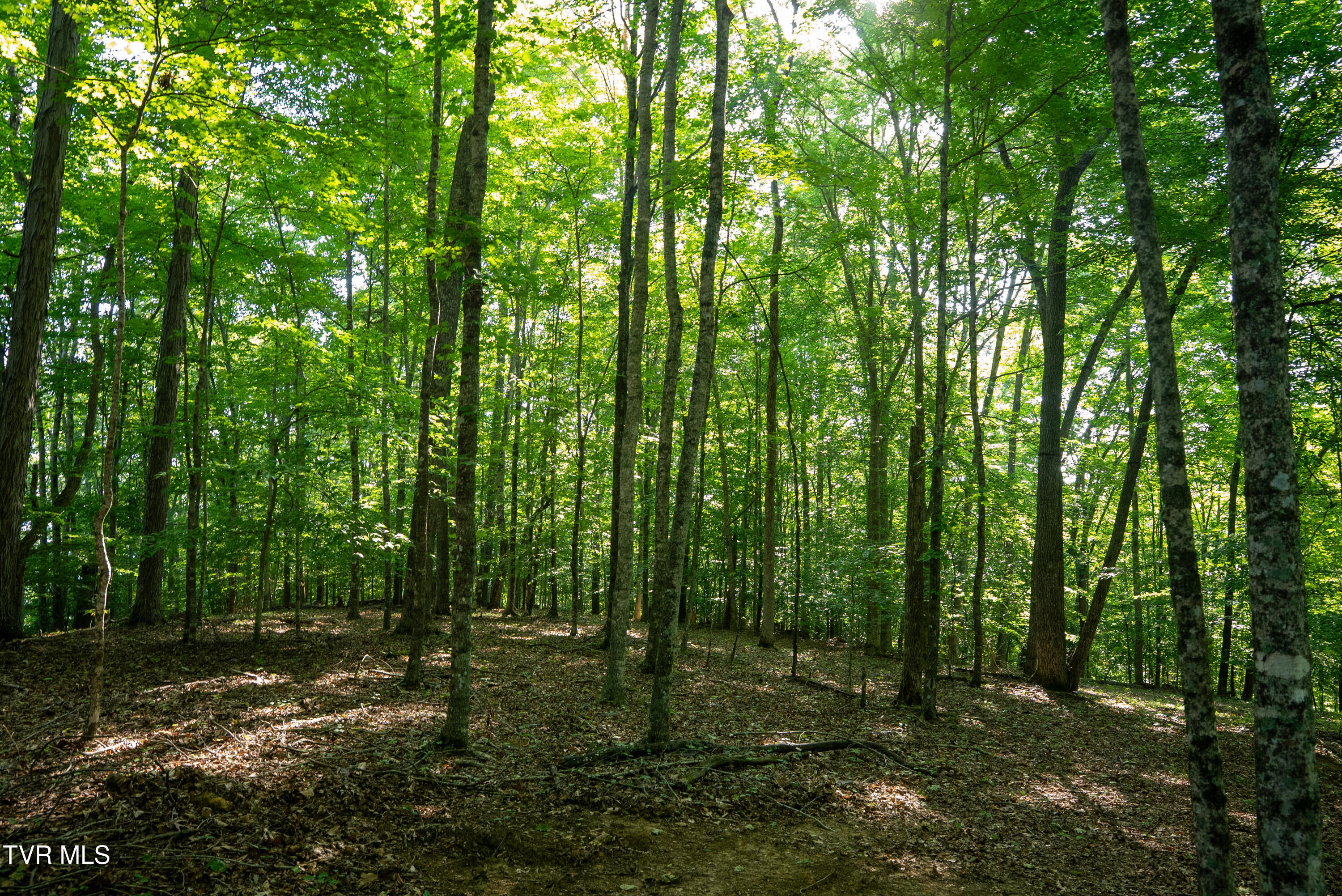 517-ac Gregory Road Sneedville, TN 37869 - Photo 128 of 128 _Pic131