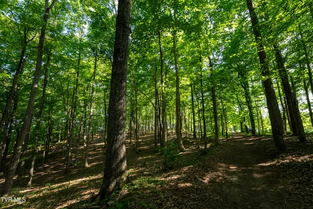 $4,750,000 | 517-ac Gregory Road, Sneedville, TN 37869