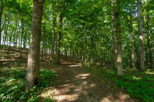 $4,750,000 | 517-ac Gregory Road, Sneedville, TN 37869