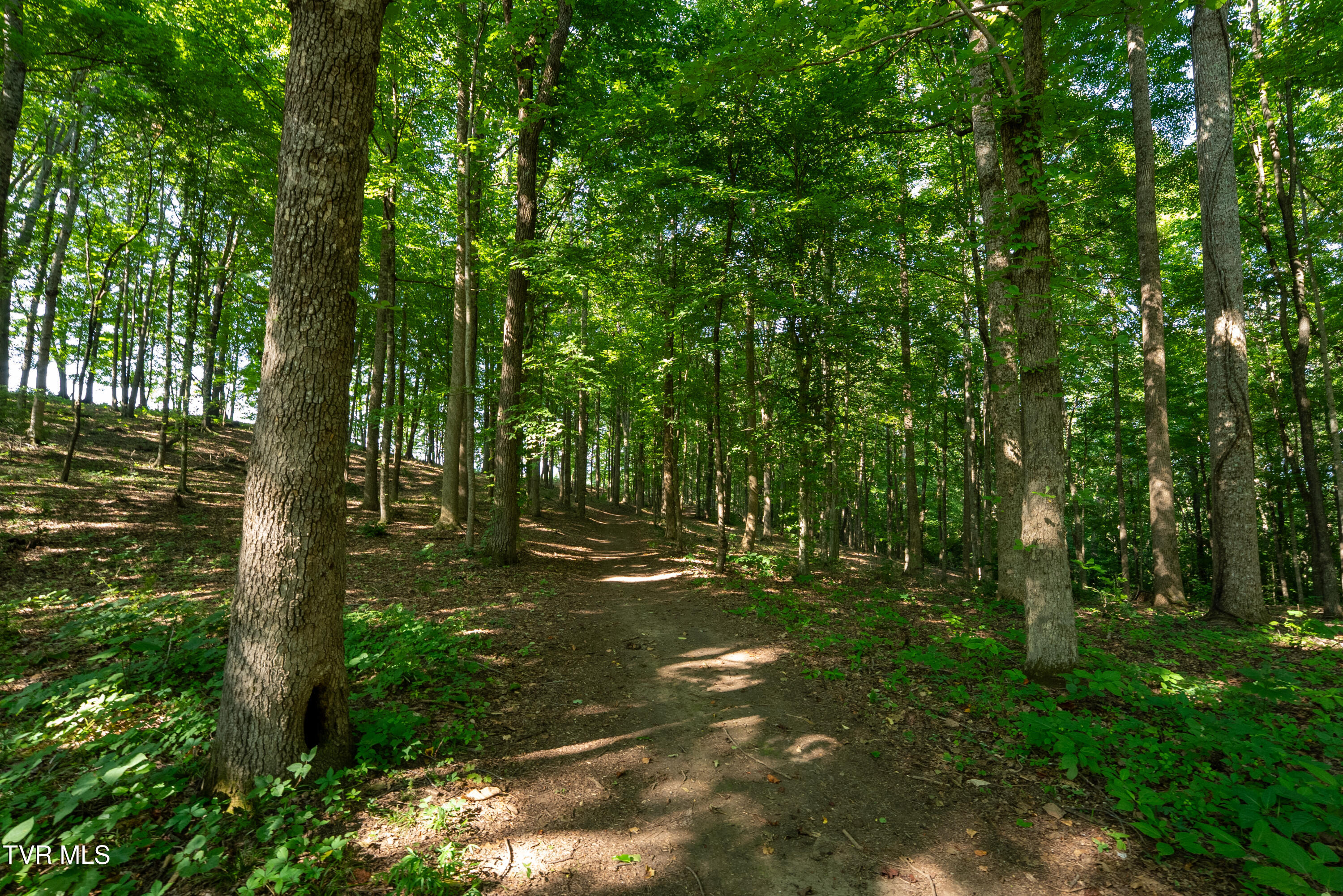 517-ac Gregory Road Sneedville, TN 37869 - Photo 77 of 128 _Pic79 (6)