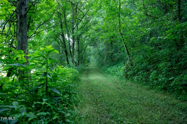 $4,750,000 | 517-ac Gregory Road, Sneedville, TN 37869