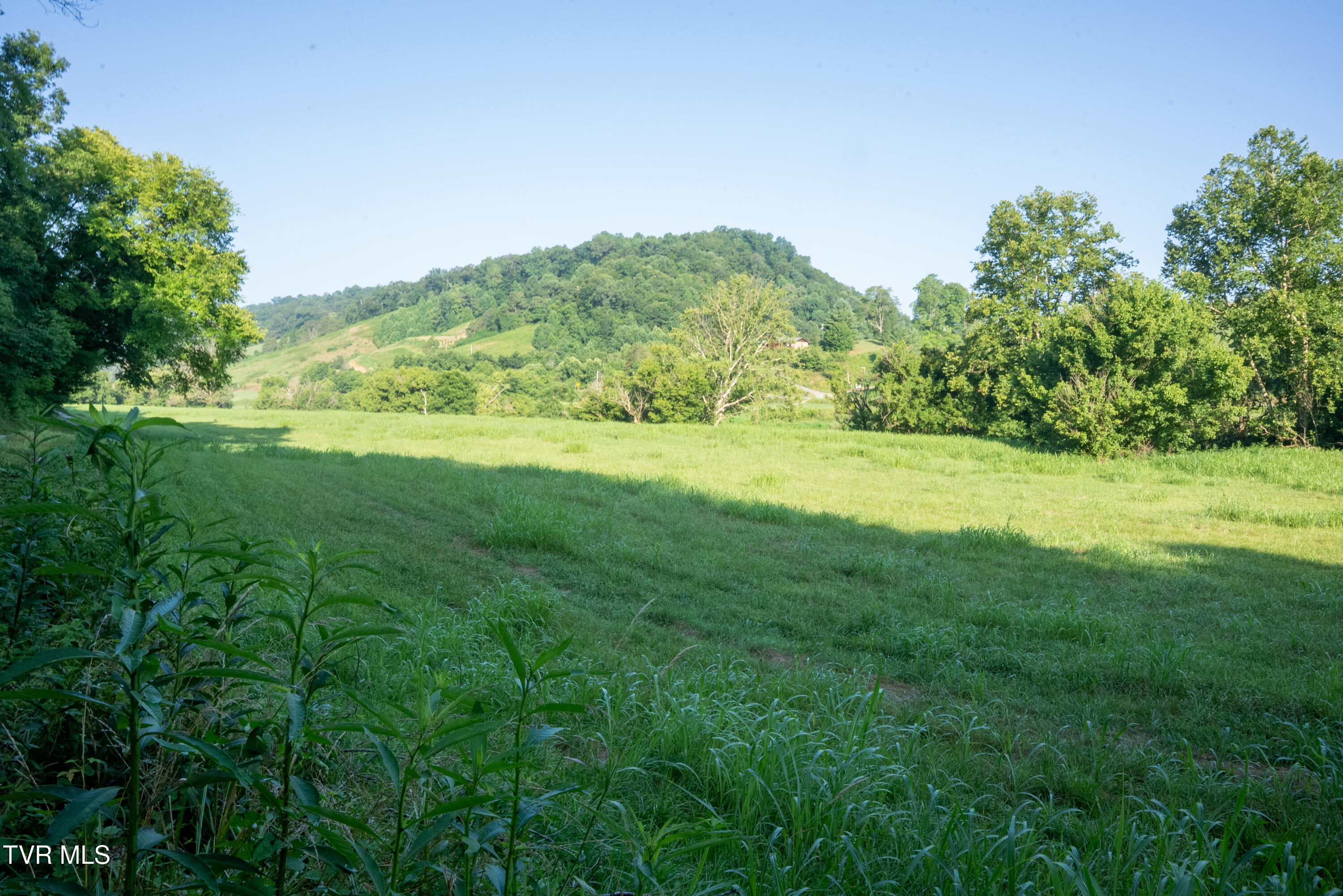 517-ac Gregory Road Sneedville, TN 37869 - Photo 80 of 128 _Pic82 (6)